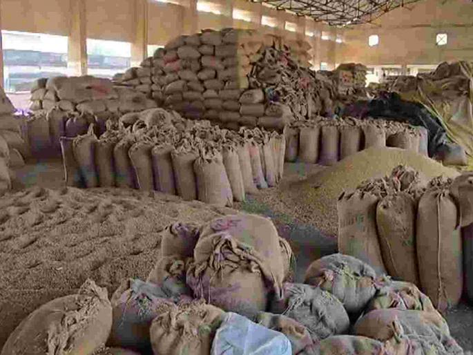 waste of agricultural produce in market committees | बाजार समित्यांमध्ये शेतमालाची नासाडी waste of agricultural produce in market committees | बाजार समित्यांमध्ये शेतमालाची नासाडी