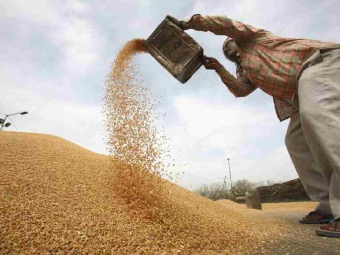Paddy scam worth Rs 1.5 crore in Gadchiroli! Farmers' arrears still pending | गडचिरोलीत दीड कोटी रुपयांचा धान घोटाळा ! शेतकऱ्यांचे चुकारे अजूनही प्रलंबित Paddy scam worth Rs 1.5 crore in Gadchiroli! Farmers' arrears still pending | गडचिरोलीत दीड कोटी रुपयांचा धान घोटाळा ! शेतकऱ्यांचे चुकारे अजूनही प्रलंबित