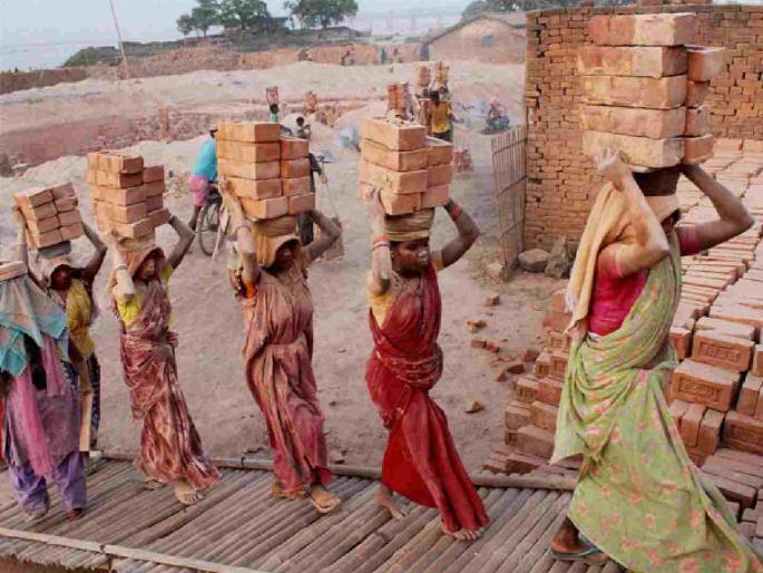 Rohyo wages worth Rs. 3.5 crore are pending in the district | जिल्ह्यातील पावणे तीन कोटींची रोहयो मजुरी थकीत Rohyo wages worth Rs. 3.5 crore are pending in the district | जिल्ह्यातील पावणे तीन कोटींची रोहयो मजुरी थकीत