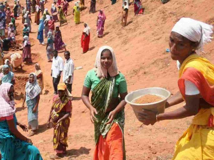 Rohyo laborers have to work in 44 degree temperatures | ४४ अंश तापमानात रोहयोच्या मजुरांना करावे लागते काम