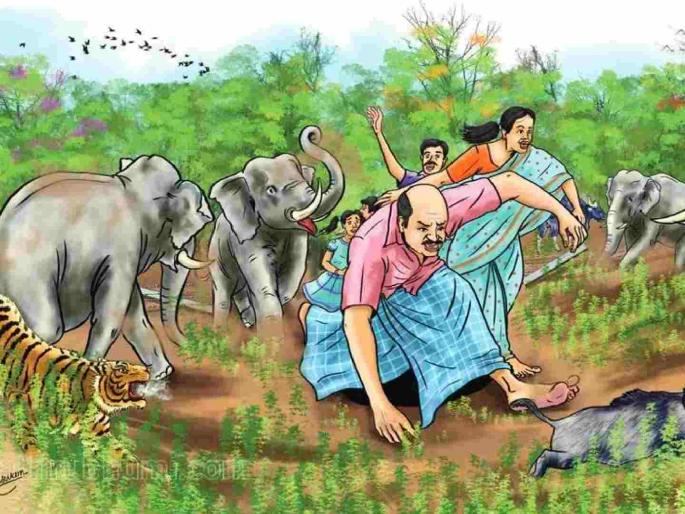 Human wildlife conflict ignites in Maharashtra; 11 civilians killed in animal attack | महाराष्ट्रात मानव वन्यजीव संघर्ष पेटला; प्राण्यांच्या हल्ल्यात ११ नागरिकांचा मृत्यू Human wildlife conflict ignites in Maharashtra; 11 civilians killed in animal attack | महाराष्ट्रात मानव वन्यजीव संघर्ष पेटला; प्राण्यांच्या हल्ल्यात ११ नागरिकांचा मृत्यू