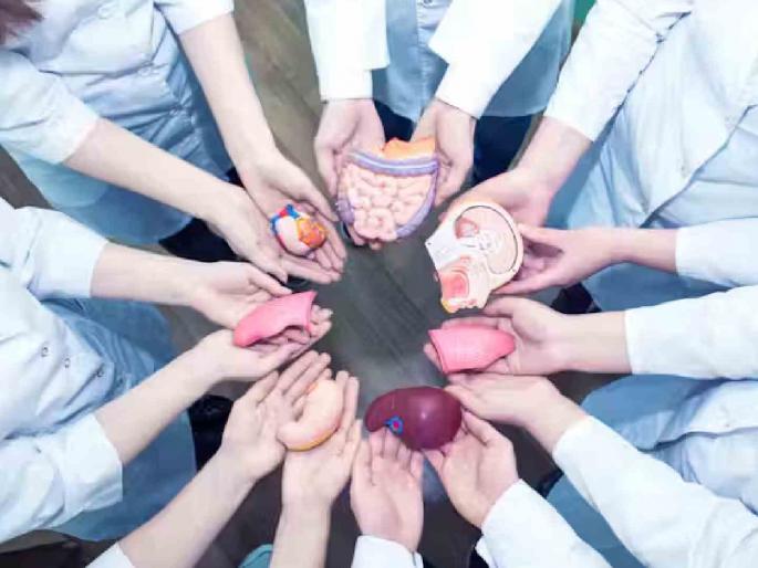 The cost of 10-25 lakhs is now zero! Free organ transplants now available under Mahatma Phule Yojana | १०-२५ लाखांचा खर्च आता शून्यावर! महात्मा फुले योजनेतून आता मोफत अवयव प्रत्यारोपण