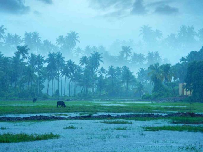 Monsoon will now be active on June 13th and 14th, but Nagpur residents will be disappointed. | मान्सून आता १३, १४ जूनलाच सक्रिय हाेईल पण नागपूरवासियांची हाेईल निराशा Monsoon will now be active on June 13th and 14th, but Nagpur residents will be disappointed. | मान्सून आता १३, १४ जूनलाच सक्रिय हाेईल पण नागपूरवासियांची हाेईल निराशा