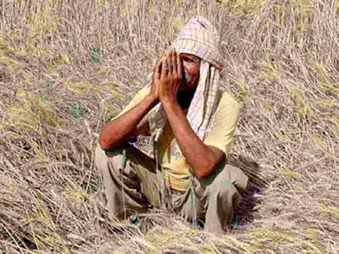 Loan Recovery agents are at farmers' doorsteps, but what about big borrowers? | कर्ज वसुलीसाठी बँकेचे पथक शेतकऱ्यांच्या दारी, बड्या कर्जदारांना मात्र अभय? Loan Recovery agents are at farmers' doorsteps, but what about big borrowers? | कर्ज वसुलीसाठी बँकेचे पथक शेतकऱ्यांच्या दारी, बड्या कर्जदारांना मात्र अभय?