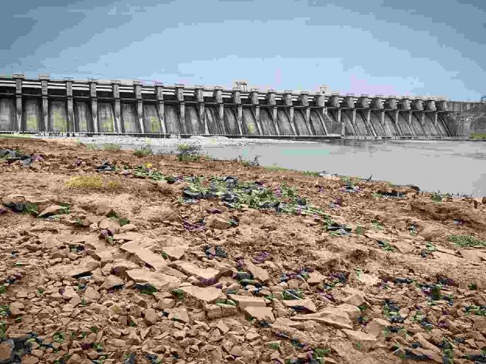 Only 51% water storage! Water situation in Yavatmal district is alarming | फक्त ५१% जलसाठा! यवतमाळ जिल्ह्यात पाण्याची स्थिती चिंताजनक Only 51% water storage! Water situation in Yavatmal district is alarming | फक्त ५१% जलसाठा! यवतमाळ जिल्ह्यात पाण्याची स्थिती चिंताजनक