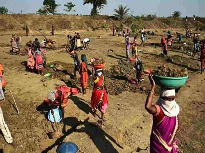 Scam worth crores in the Employment Guarantee Scheme department! BDOs ordered to register a criminal case | रोजगार हमी योजना विभागात कोट्यवधीचा घोटाळा ! फौजदारी गुन्हा दाखल करण्याचे बीडीओंना दिले आदेश