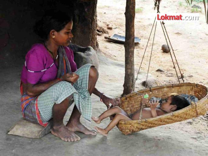 Sickle cell toxin found in children's blood in Melghat; Genetic disease responsible for 800 deaths in Dharani-Chikhaldara | मेळघाटात चिमुकल्यांच्या रक्तात सिकलसेलचे विष; धारणी-चिखलदऱ्यात ८०० मृत्यूच्या दाढेत आनुवंशिक आजार Sickle cell toxin found in children's blood in Melghat; Genetic disease responsible for 800 deaths in Dharani-Chikhaldara | मेळघाटात चिमुकल्यांच्या रक्तात सिकलसेलचे विष; धारणी-चिखलदऱ्यात ८०० मृत्यूच्या दाढेत आनुवंशिक आजार