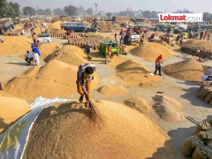 30 lakh quintals of paddy purchased in Bhandara district; No trace of the culprit! | भंडारा जिल्ह्यात ३० लाख क्विंटल धान खरेदी ; चुकाऱ्याचा पत्ता नाही ! 30 lakh quintals of paddy purchased in Bhandara district; No trace of the culprit! | भंडारा जिल्ह्यात ३० लाख क्विंटल धान खरेदी ; चुकाऱ्याचा पत्ता नाही !