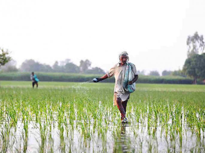 If you want chemical fertilizers, buy pesticides; Farmers in trouble due to linking | रासायनिक खते हवी आहे तर कीटकनाशके खरेदी करा; लिंकिंगमुळे शेतकरी अडचणीत