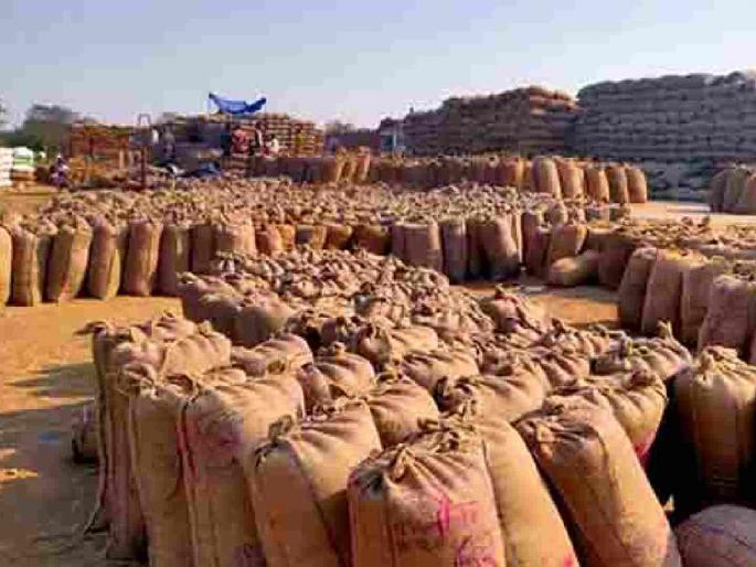Action against grain scammers intensified; Two suspended, 16 officers questioned | धान्य घोटाळेबाजांवर कारवाईचा बडगा ; दोघांचे निलंबन, १६ अधिकाऱ्यांची चौकशी सुरू