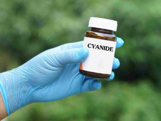 'Cyanide', a poison that can kill you as soon as you put it in your mouth, is being sold openly online. | तोंडात जाताच थेट मृत्यूच्या जबड्यात ढकलणारे 'सायनाइड' विषाची खुलेआम होतेय ऑनलाइन विक्री 'Cyanide', a poison that can kill you as soon as you put it in your mouth, is being sold openly online. | तोंडात जाताच थेट मृत्यूच्या जबड्यात ढकलणारे 'सायनाइड' विषाची खुलेआम होतेय ऑनलाइन विक्री