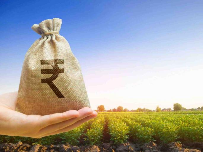 Target of 2100 crores in crop loan allocation this year! Crop loan allocation rate increased by 10 to 15 percent | यंदा २१०० कोटींच्या पीककर्ज वाटपाचे टार्गेट ! पिककर्ज वाटप दरात १० ते १५ टक्क्यांनी वाढ