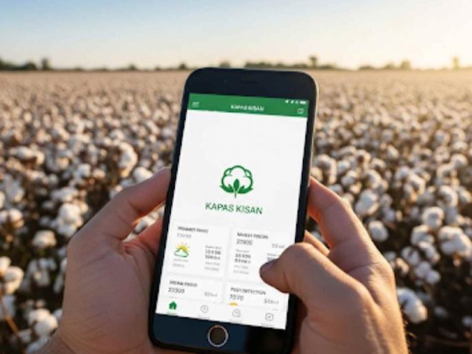 How can farmers sell cotton to CCI? Register on this app | शेतकऱ्यांनी 'सीसीआय'ला कापूस विकायचा कसा? 'ह्या' अँपवर करा नोंदणी How can farmers sell cotton to CCI? Register on this app | शेतकऱ्यांनी 'सीसीआय'ला कापूस विकायचा कसा? 'ह्या' अँपवर करा नोंदणी