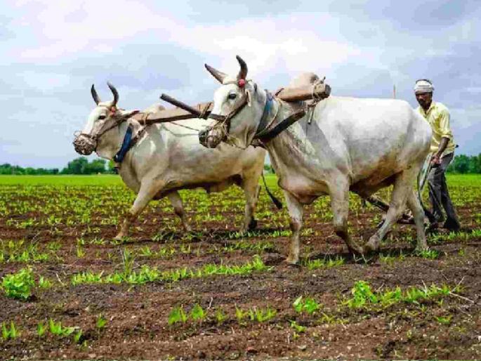 How far has farmer been misled by fake promises? 8-hour power supply is just a name | पोकळ आश्वासनाने देऊन बळीराजाची दिशाभूल कुठवर? ८ तास वीजपुरवठा नावालाच How far has farmer been misled by fake promises? 8-hour power supply is just a name | पोकळ आश्वासनाने देऊन बळीराजाची दिशाभूल कुठवर? ८ तास वीजपुरवठा नावालाच