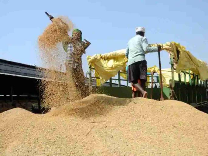 Defrauding the government by embezzling paddy; Case registered against 13 directors | धानाची अफरातफर करून शासनाची फसवणूक; १३ संचालकांवर गुन्हा दाखल Defrauding the government by embezzling paddy; Case registered against 13 directors | धानाची अफरातफर करून शासनाची फसवणूक; १३ संचालकांवर गुन्हा दाखल