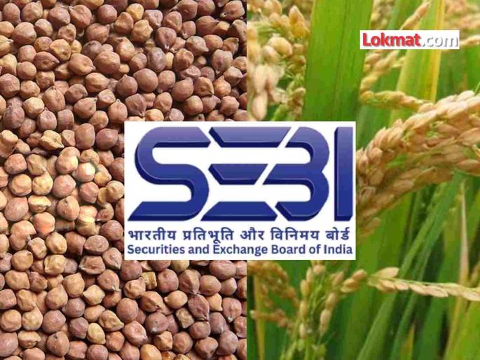 SEBI bans futures on seven agricultural commodities for the sixth consecutive year; reason not explained | सेबीने सात शेतमालांच्या वायद्यांवर सलग सहाव्यांदा वर्षभरासाठी बंदी; कारण स्पष्ट केले नाही SEBI bans futures on seven agricultural commodities for the sixth consecutive year; reason not explained | सेबीने सात शेतमालांच्या वायद्यांवर सलग सहाव्यांदा वर्षभरासाठी बंदी; कारण स्पष्ट केले नाही
