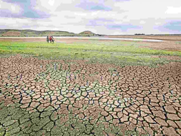 Amravati has 31% rainfall deficit, a dry drought looms! | अमरावतीत ३१% पावसाची तूट, कोरड्या दुष्काळाचे सावट! Amravati has 31% rainfall deficit, a dry drought looms! | अमरावतीत ३१% पावसाची तूट, कोरड्या दुष्काळाचे सावट!