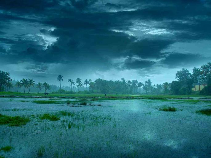 Relief from Ashadh showers across Vidarbha; Continuous rains in Nagpur since morning | विदर्भात सर्वदूर आषाढ सरींचा दिलासा; नागपूरकडे सकाळपासून संततधार Relief from Ashadh showers across Vidarbha; Continuous rains in Nagpur since morning | विदर्भात सर्वदूर आषाढ सरींचा दिलासा; नागपूरकडे सकाळपासून संततधार