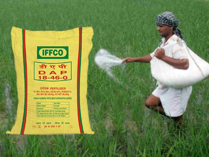 Shortage of DAP fertilizer in Ramtek taluka; Farmers advised to use alternative fertilizers | रामटेक तालुक्यात डीएपी खताची टंचाई; शेतकऱ्यांना पर्यायी खतांचा वापर करण्याचा सल्ला Shortage of DAP fertilizer in Ramtek taluka; Farmers advised to use alternative fertilizers | रामटेक तालुक्यात डीएपी खताची टंचाई; शेतकऱ्यांना पर्यायी खतांचा वापर करण्याचा सल्ला