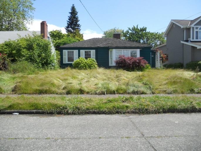 This man in Florida fined Rs 20 lakh for not cut grass | बाबो! घरासमोरचं गवत न कापल्याने 'या' व्यक्तीला २० लाखांचा दंड, प्रकरण कोर्टात!