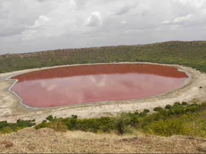 Ah wonder ... the water of Lonar lake turned red! | अहो आश्चर्यम...लोणार सरोवराचे पाणी झाले लाल !