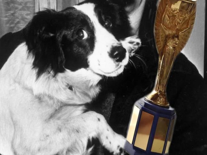 FIFA World Cup 2018 : Pickles the dog who found 1966 world cup trophy | FIFA World Cup 2018 : जेव्हा चोरी झाली होती फीफा वर्ल्ड कप ट्रॉफी, हा श्वान बनला होता 'हिरो' FIFA World Cup 2018 : Pickles the dog who found 1966 world cup trophy | FIFA World Cup 2018 : जेव्हा चोरी झाली होती फीफा वर्ल्ड कप ट्रॉफी, हा श्वान बनला होता 'हिरो'