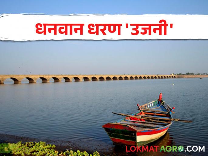 If this is done in Ujani Dam, 6 TMC water storage will be increased and farmers' lands will be better | उजनी धरणात हे केलं तर वाढेल ६ टीएमसी पाणीसाठा अन् शेतकऱ्यांच्या जमिनी होतील कसदार If this is done in Ujani Dam, 6 TMC water storage will be increased and farmers' lands will be better | उजनी धरणात हे केलं तर वाढेल ६ टीएमसी पाणीसाठा अन् शेतकऱ्यांच्या जमिनी होतील कसदार