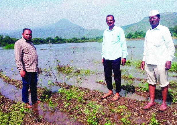 Damage Panchami works on Mission Mode | नुकसानीच्या पंचनाम्याची कामे मिशन मोडवर-- प्रशासन शेताच्या बांधावर;अतिवृष्टीबाधित क्षेत्राची पाहणी