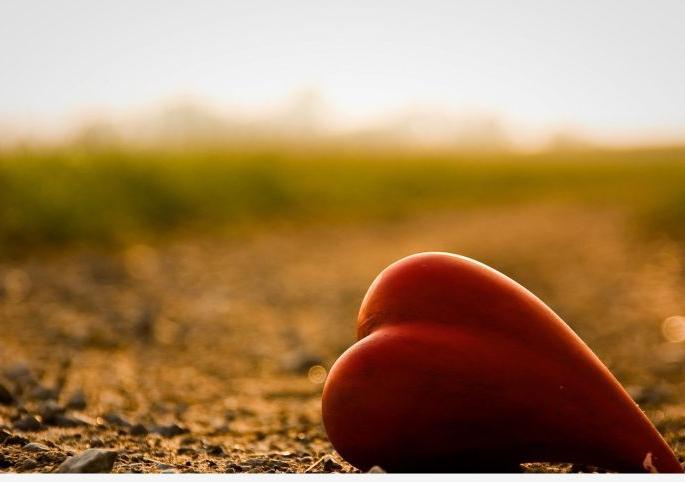 The escape of a lover leaving his beloved on the bypass; He urged the police to find 'him' | प्रेयसीला बायपासवर सोडून प्रियकराचे पलायन; 'त्याला' शोधून आणा अशी पोलिसांना घातली गळ The escape of a lover leaving his beloved on the bypass; He urged the police to find 'him' | प्रेयसीला बायपासवर सोडून प्रियकराचे पलायन; 'त्याला' शोधून आणा अशी पोलिसांना घातली गळ