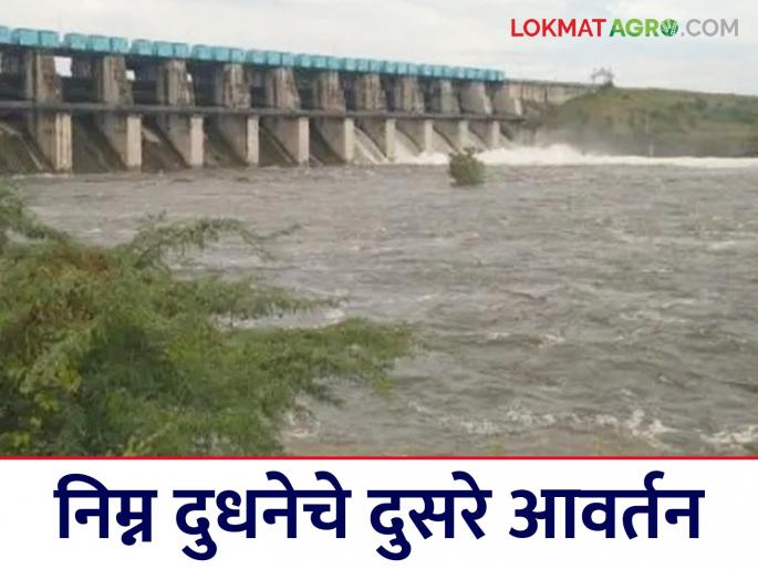 Lower Dudhana Project: Dudhana water is a booster for gram, wheat, and jowar crops! | Lower Dudhana Project : दुधनेच्या पाण्याचा हरभरा, गहू, ज्वारी पिकांना बुस्टर! Lower Dudhana Project: Dudhana water is a booster for gram, wheat, and jowar crops! | Lower Dudhana Project : दुधनेच्या पाण्याचा हरभरा, गहू, ज्वारी पिकांना बुस्टर!