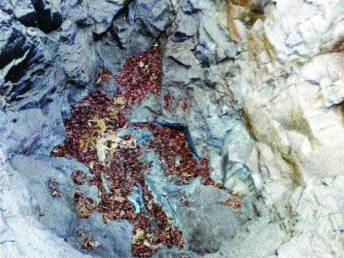 The eyes appear to be water but they do not drink | डोळ्याला पाणी दिसते मात्र प्यायला मिळत नाही The eyes appear to be water but they do not drink | डोळ्याला पाणी दिसते मात्र प्यायला मिळत नाही