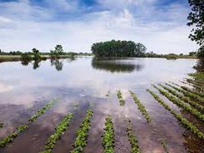 Exercise to report crop loss | पीकनुकसानाची तक्रार नोंदविण्यासाठी कसरत Exercise to report crop loss | पीकनुकसानाची तक्रार नोंदविण्यासाठी कसरत