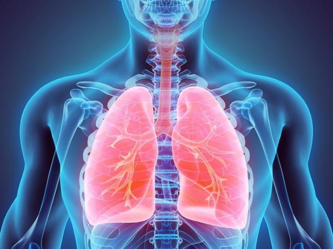 How do you know if your lungs are weak or strong? Experts say 'these' symptoms | तुमची फप्फुसं कमजोर आहेत की मजबूत कसं कळेल? तज्ज्ञांनी सांगितली 'ही' लक्षणे