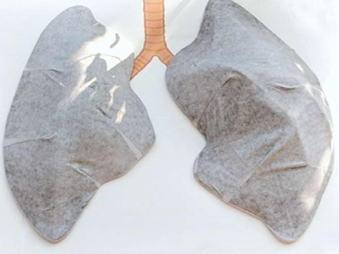 Mumbai's white lungs become black due to air pollution | वायुप्रदूषणामुळे मुंबईची पांढरी फुप्फुसे पडली काळी, वांद्रे येथे प्रयोगाअंती निष्कष Mumbai's white lungs become black due to air pollution | वायुप्रदूषणामुळे मुंबईची पांढरी फुप्फुसे पडली काळी, वांद्रे येथे प्रयोगाअंती निष्कष