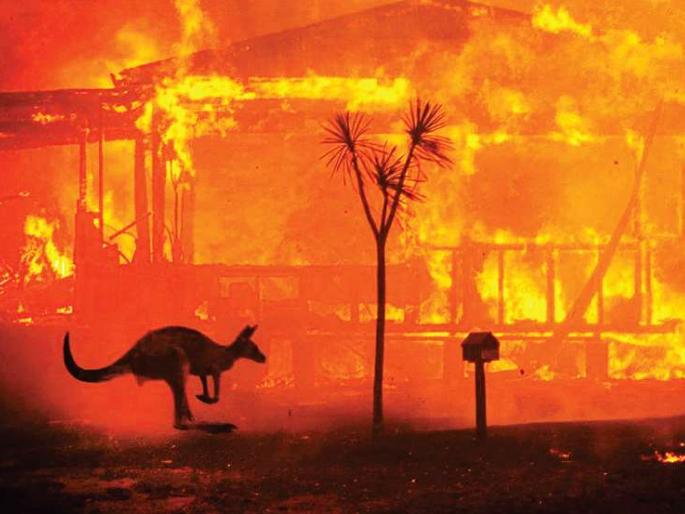 Article on Australia Fire It's a warning to the whole world | ऑस्ट्रेलियातील वणवे ही जगासाठी भयघंटा; संपूर्ण जगालाच तो एक इशारा Article on Australia Fire It's a warning to the whole world | ऑस्ट्रेलियातील वणवे ही जगासाठी भयघंटा; संपूर्ण जगालाच तो एक इशारा
