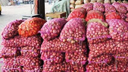 Onion will come down to Rs 20 at the end of the month; Good arrival in the state including Nashik | तिखट कांद्याची गोड बातमी; पुढच्या १५ दिवसांत १५ रुपयांनी होणार स्वस्त Onion will come down to Rs 20 at the end of the month; Good arrival in the state including Nashik | तिखट कांद्याची गोड बातमी; पुढच्या १५ दिवसांत १५ रुपयांनी होणार स्वस्त