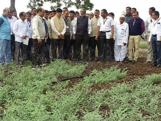 Agricultural blessings for future generations if organic curbs of land are increased | जमिनीचा सेंद्रीय कर्ब वाढल्यास भावी पिढीसाठी शेती वरदान  Agricultural blessings for future generations if organic curbs of land are increased | जमिनीचा सेंद्रीय कर्ब वाढल्यास भावी पिढीसाठी शेती वरदान