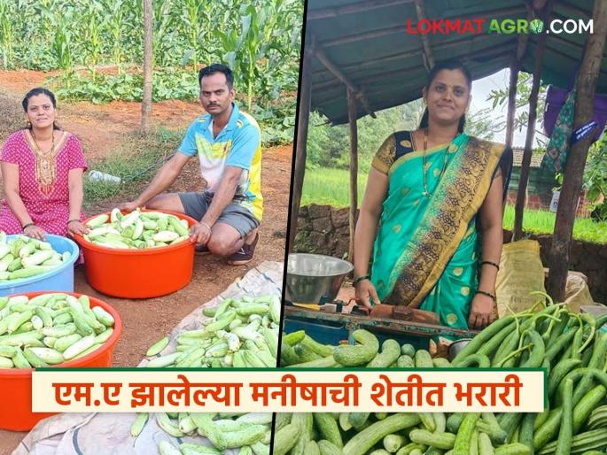 Manisha, who completed her M.A., started her farm in 15 gunthas and today it has expanded to 15 acres | एम.ए झालेल्या मनीषाने १५ गुंठ्यांत सुरू केलेली शेती आज १५ एकरांवर विस्तारली; वाचा सविस्तर