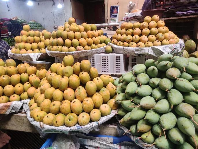 In the state Mankurad is out of reach while Hapus eats bhav; From dozen 1200 to 5 thousand | राज्यात मानकुराद आवाक्याबाहेर तर हापूस भाव खातो; डझन १२०० पासून ५ हजारपर्यंत In the state Mankurad is out of reach while Hapus eats bhav; From dozen 1200 to 5 thousand | राज्यात मानकुराद आवाक्याबाहेर तर हापूस भाव खातो; डझन १२०० पासून ५ हजारपर्यंत