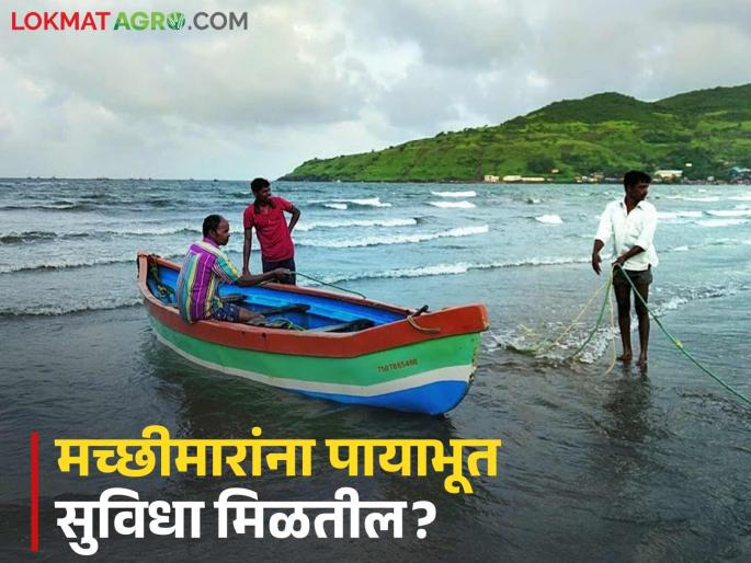Fishermen also need a concessional scheme for fishing like the loan waiver for farmers | शेतकऱ्यांच्या कर्जमाफीप्रमाणे मच्छीमारांनाही मासेमारीसाठी सवलतीची योजना हवी Fishermen also need a concessional scheme for fishing like the loan waiver for farmers | शेतकऱ्यांच्या कर्जमाफीप्रमाणे मच्छीमारांनाही मासेमारीसाठी सवलतीची योजना हवी