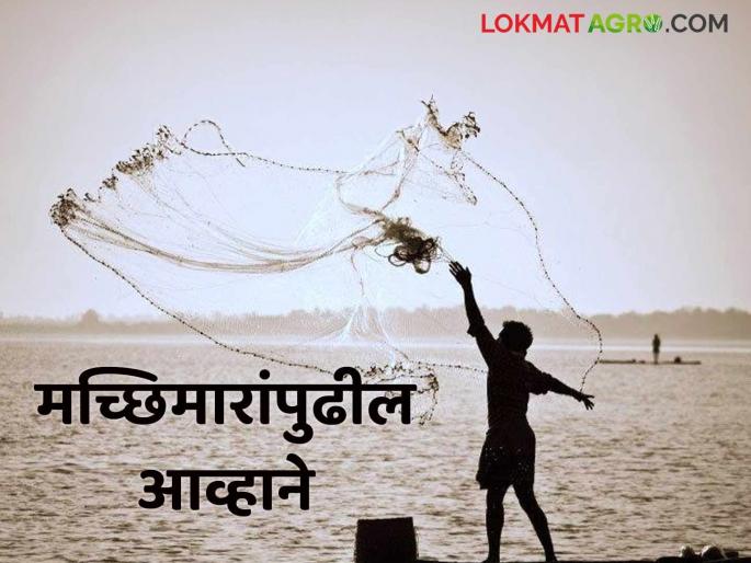 Latest News From plastic pollution to water quality challenges facing fishermen, read in detail  | Challenges facing Fishermen : प्लास्टिक प्रदूषणापासून ते पाण्याच्या गुणवत्तेपर्यंत मच्छिमारांपुढील आव्हाने, वाचा सविस्तर 