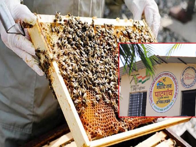 Farmers in Kolhapur district have now turned to beekeeping | कोल्हापूर जिल्हा मधमाश्या पालनास पूरक, मधपाळांचे जीवन होतेय मधुर Farmers in Kolhapur district have now turned to beekeeping | कोल्हापूर जिल्हा मधमाश्या पालनास पूरक, मधपाळांचे जीवन होतेय मधुर