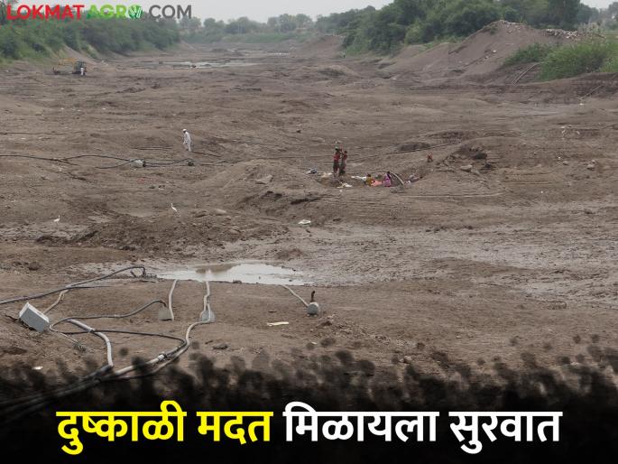 42 thousand farmers of this taluk will get 37 crore drought subsidy | या तालुक्यातील ४२ हजार शेतकऱ्यांना मिळणार ३७ कोटी दुष्काळी अनुदान 42 thousand farmers of this taluk will get 37 crore drought subsidy | या तालुक्यातील ४२ हजार शेतकऱ्यांना मिळणार ३७ कोटी दुष्काळी अनुदान