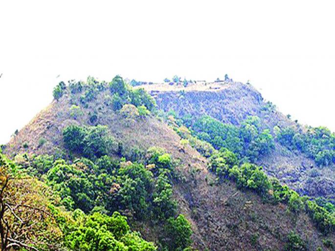 On the way to the 'Madgad' extinction in Wanjale | वांजळे येथील ‘मदगड’ नामशेष होण्याच्या मार्गावर