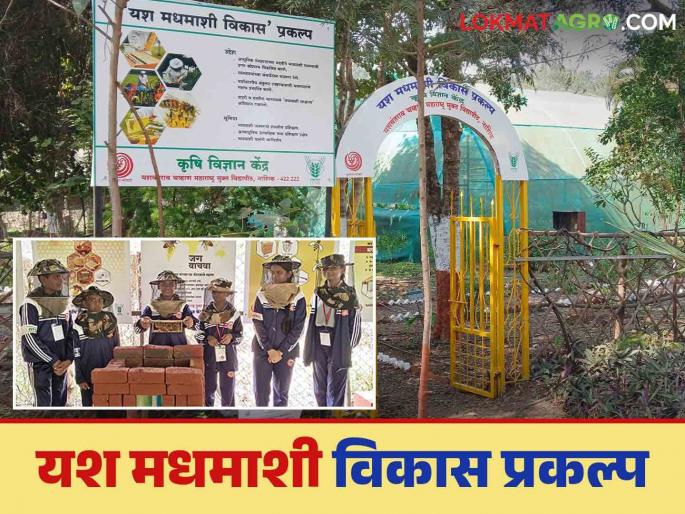 Latest News Agriculture News Nashik Krishi Vigyan Kendra's 'Yash Madhmashi Vikas project Read in detail | Agriculture News : नाशिक कृषी विज्ञान केंद्राचा ‘यश मधमाशी विकास प्रकल्प' काय आहे? वाचा सविस्तर Latest News Agriculture News Nashik Krishi Vigyan Kendra's 'Yash Madhmashi Vikas project Read in detail | Agriculture News : नाशिक कृषी विज्ञान केंद्राचा ‘यश मधमाशी विकास प्रकल्प' काय आहे? वाचा सविस्तर