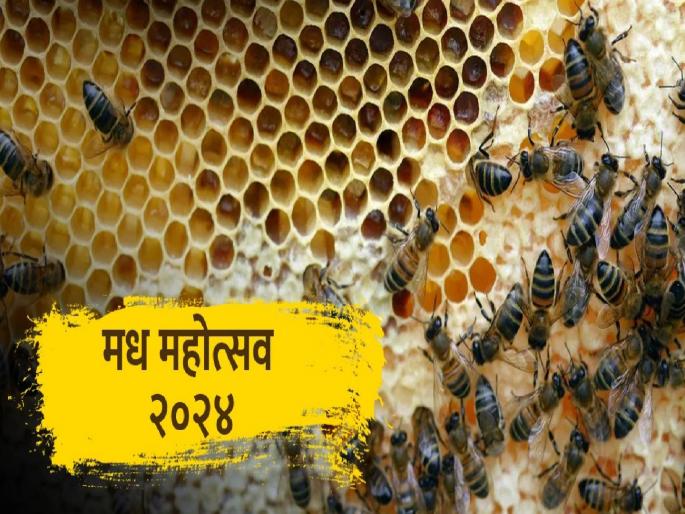 Honey Festival to be held for the first time in the country Prayog in Mumbai | देशात पहिल्यांदाच हाेणार मध महोत्सव, मुंबईत प्रयाेग; उद्योगाची व्याप्ती वाढण्यासाठी प्रयत्न Honey Festival to be held for the first time in the country Prayog in Mumbai | देशात पहिल्यांदाच हाेणार मध महोत्सव, मुंबईत प्रयाेग; उद्योगाची व्याप्ती वाढण्यासाठी प्रयत्न