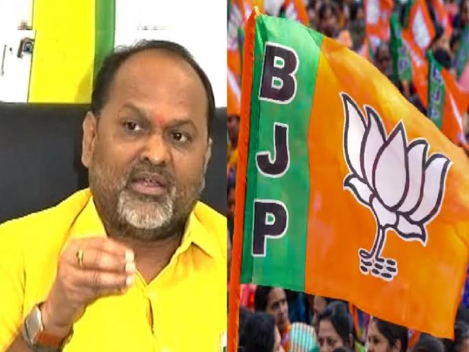 Madha Loksabha Constituency split in Mahayutti; To Mahadev Jankar Movements to take Mahavikas Aghadi | Satara Politics: माढ्यात रासपची खेळी, भाजपात वादळ Madha Loksabha Constituency split in Mahayutti; To Mahadev Jankar Movements to take Mahavikas Aghadi | Satara Politics: माढ्यात रासपची खेळी, भाजपात वादळ
