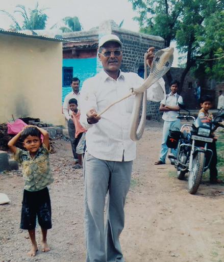 Anjangaon's serpentine started to suffer snakes | अंजनगावच्या सर्पमित्राला सापांचा लागलाय लळा Anjangaon's serpentine started to suffer snakes | अंजनगावच्या सर्पमित्राला सापांचा लागलाय लळा