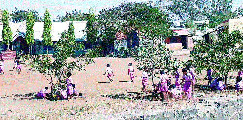 Plant plants and plants grow plants; Launched for birds, waterfall | बाटलीने पाणी घालून माढ्यातील विद्यार्थी जगवितात झाडे; पक्ष्यांसाठी सुरू केली पाणपोई Plant plants and plants grow plants; Launched for birds, waterfall | बाटलीने पाणी घालून माढ्यातील विद्यार्थी जगवितात झाडे; पक्ष्यांसाठी सुरू केली पाणपोई