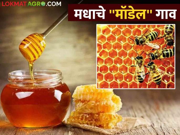 Beekeeping : To promote honey beekeeping, 'Madhumitra Award' will be given  | Beekeeping : मधुमक्षिका पालनास प्रोत्साहन देण्यासाठी 'मधुमित्र पुरस्कार' देणार  Beekeeping : To promote honey beekeeping, 'Madhumitra Award' will be given  | Beekeeping : मधुमक्षिका पालनास प्रोत्साहन देण्यासाठी 'मधुमित्र पुरस्कार' देणार